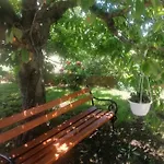 Apartment Ferara Betina (Sibenik-Knin)